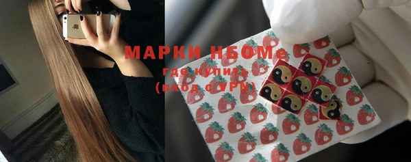 шишки Алексеевка
