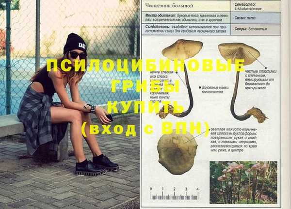 ALPHA PVP Алексин