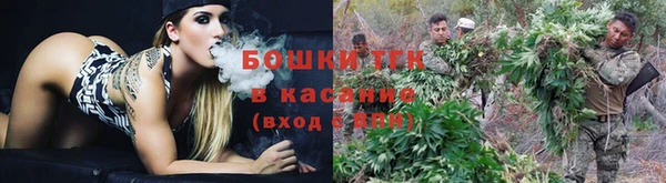 ГАЛЛЮЦИНОГЕННЫЕ ГРИБЫ Абаза