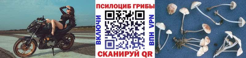 Галлюциногенные грибы GOLDEN TEACHER Сухой Лог