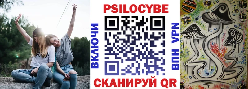 Псилоцибиновые грибы Psilocybe  KRAKEN как зайти  Сухой Лог 